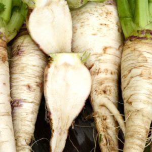 Turnip, Seven Top