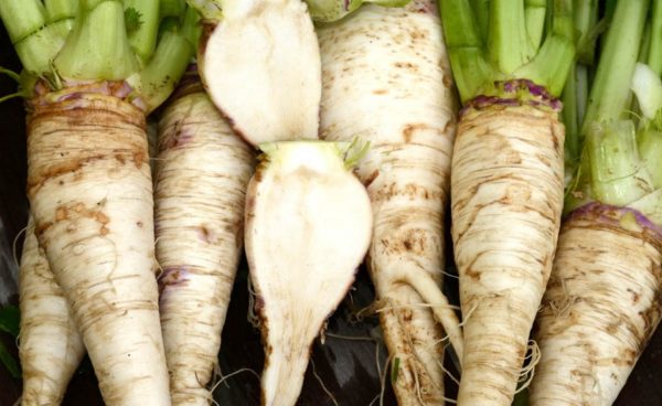 Turnip, Seven Top