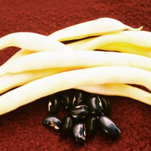 Wax Bush Bean, Pencil Pod Black Wax