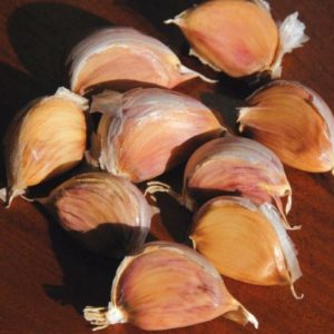 Rocambole Garlic, German Red - 4 oz