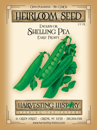 English or Shelling Pea, Early Frosty – Harvesting History