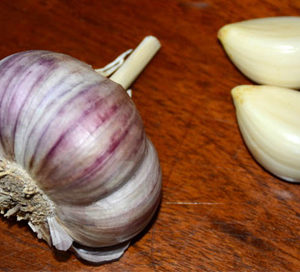 Marbled Purple Striped Garlic, Khabar - 4 oz