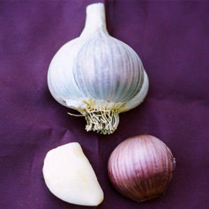 Creole Garlic, Ajo Rojo