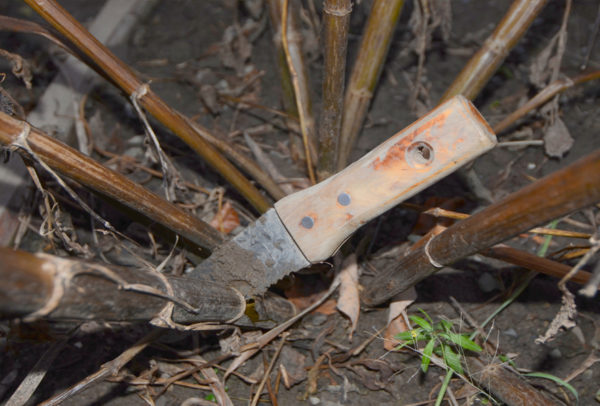 The Hori-Hori, Japanese Gardening Knife