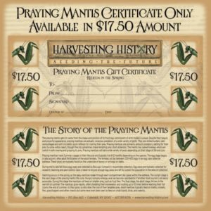 Praying Mantises Gift Certificate