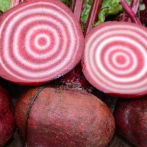Beet, Chioggia