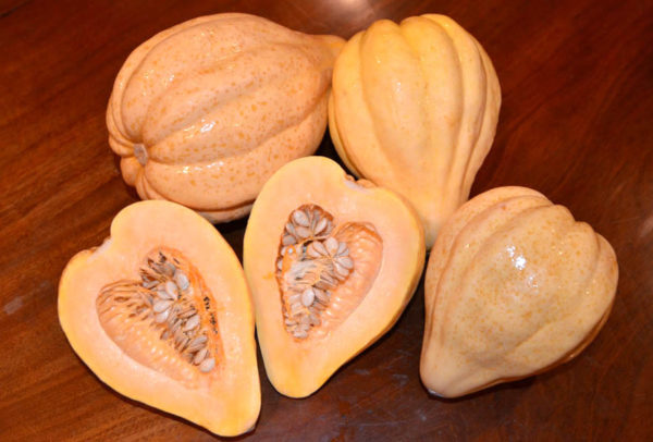 Winter Squash, Thelma Sanders