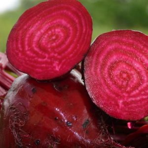 Beet, Detroit Dark Red