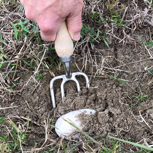 The Harvesting History Heirloom Round Tine Fork