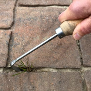 The Harvesting History Heirloom Weeding Finger