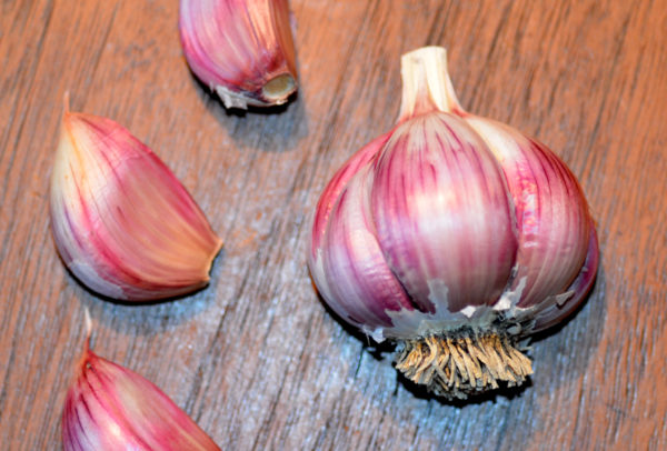 Silverskin Garlic, Rose du Var - 4 oz
