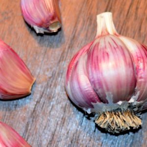 Creole Garlic, Rose Du Lautrec - 4 oz