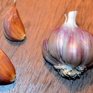 Rocambole Garlic, Carpathian - 4 oz