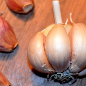 Turban Garlic, Red Janice - 4 oz