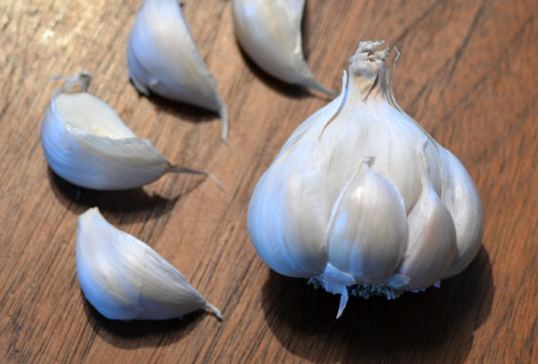 Silverskin Garlic, Sicilian Silver - 4 oz