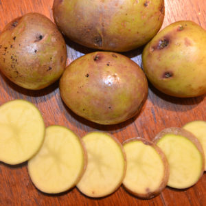 Standard Potato - Canada Gold - 1 LB