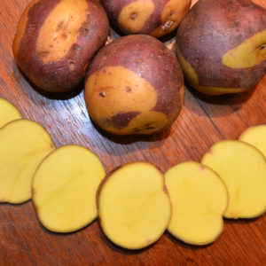 Standard Potato - Masquerade - 1 LB