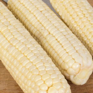 Sweet Corn, White Hybrid - Silver Queen
