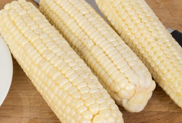 Sweet Corn, White Hybrid - Silver Queen