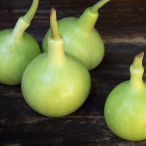 Gourd, Apple