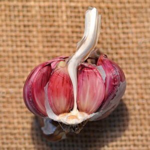 Creole Garlic, Aglio Rosso - 4 oz